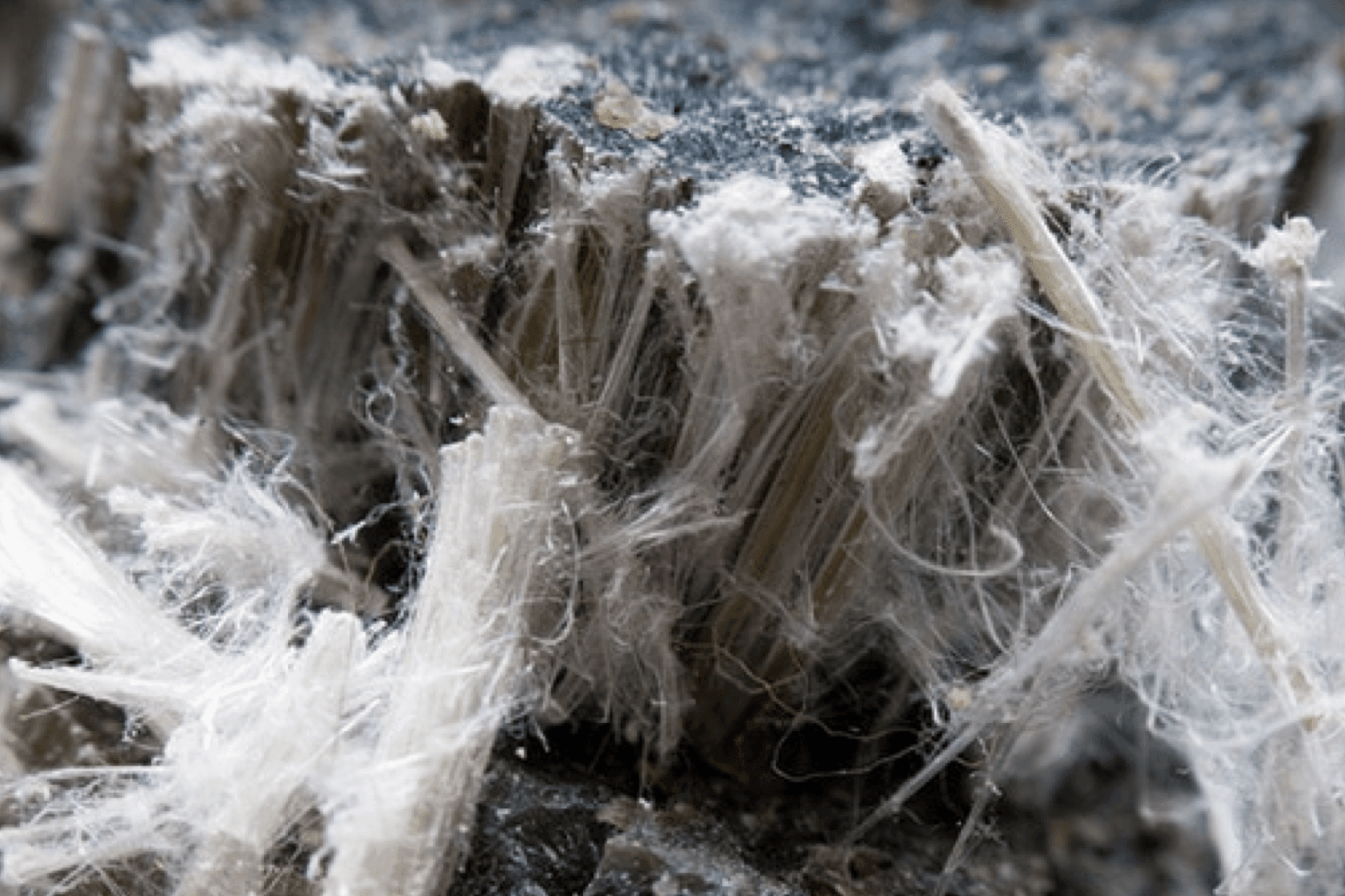 Asbestos Surveys & Sampling